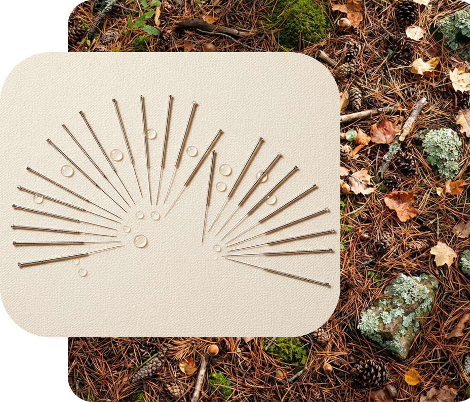 Lauren, Licensed Acupuncturist